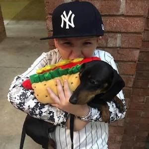 Meet your Posher, Ray